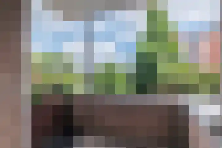 Bielzen 6 Heerenveen thumbnail 8
