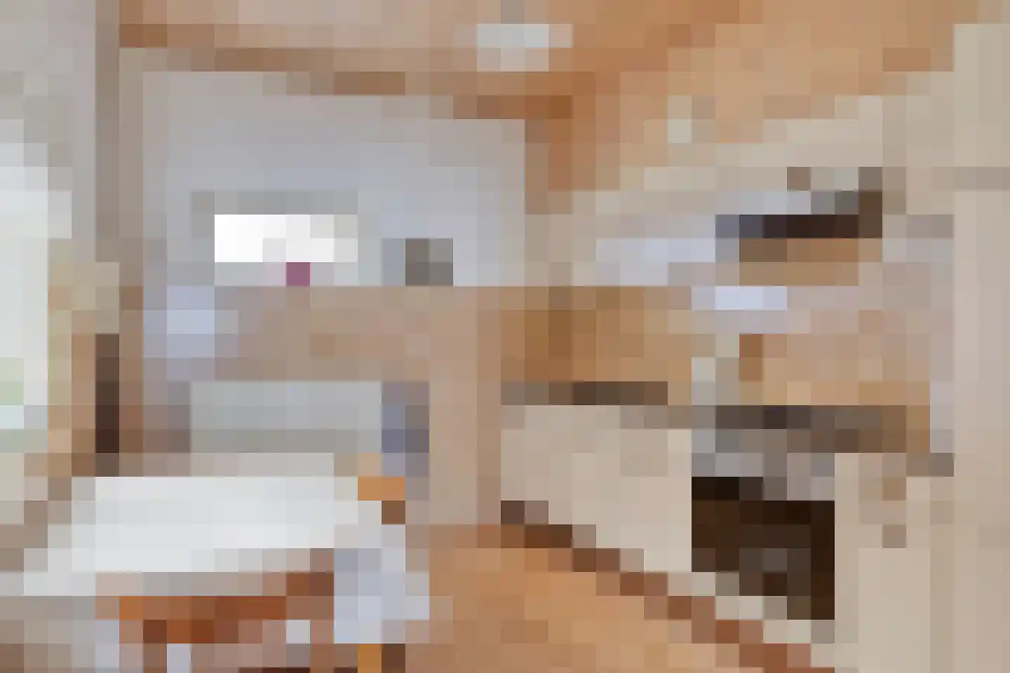 Biemeren 3 Wintelre thumbnail 14
