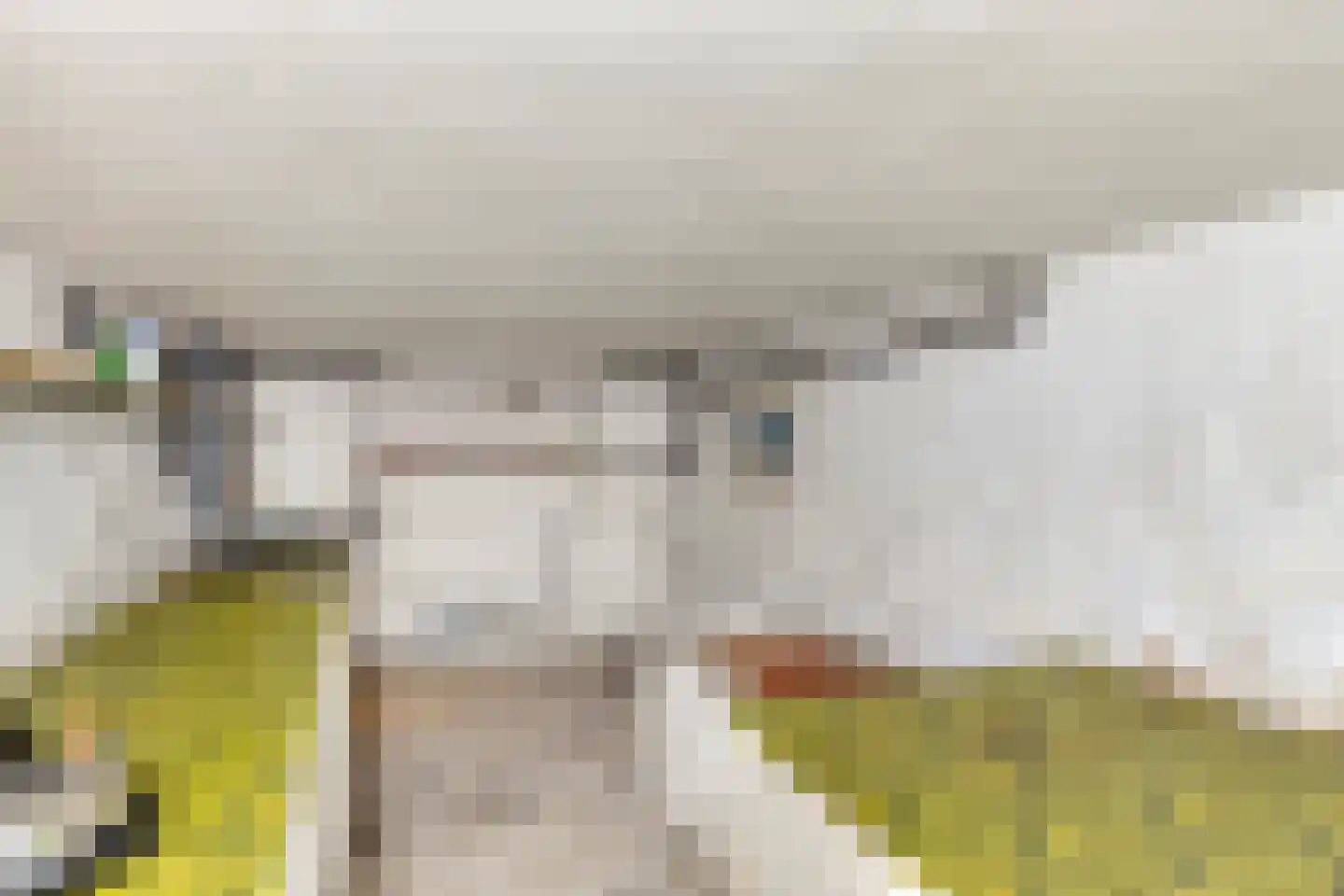 Biemeren 3 Wintelre thumbnail 20