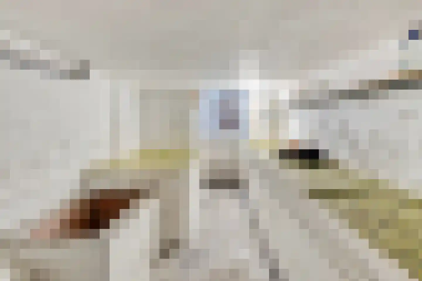 Biemeren 3 Wintelre thumbnail 21