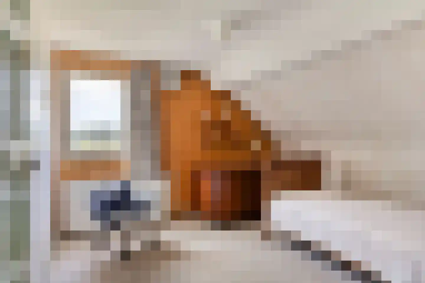 Biemeren 3 Wintelre thumbnail 30