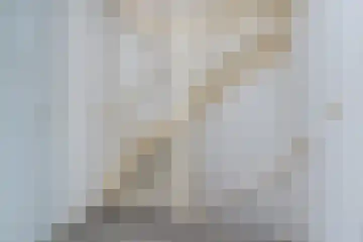 Bieningen 18 Ouddorp thumbnail 17