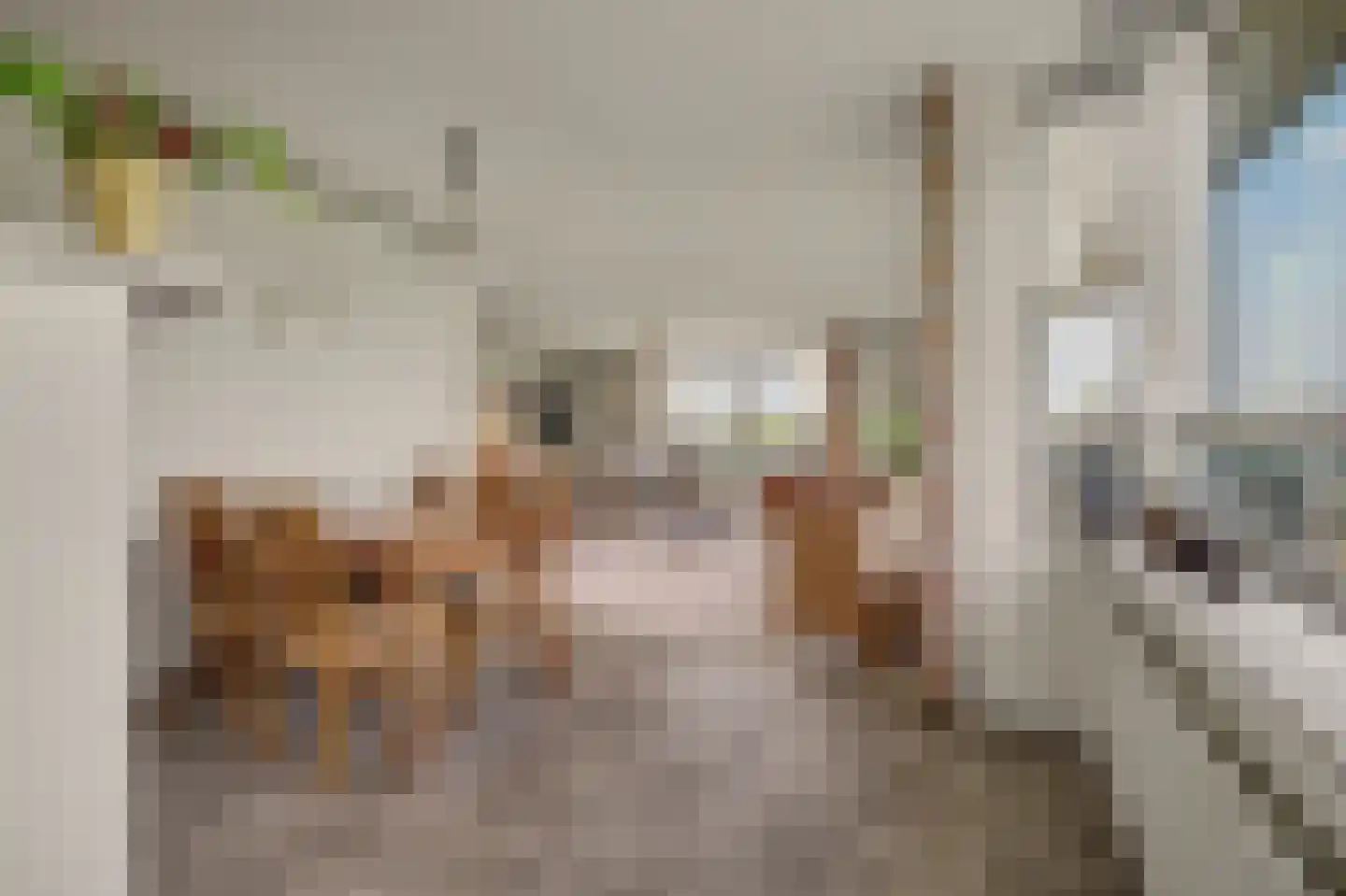 Bieningen 19 Brielle thumbnail 13