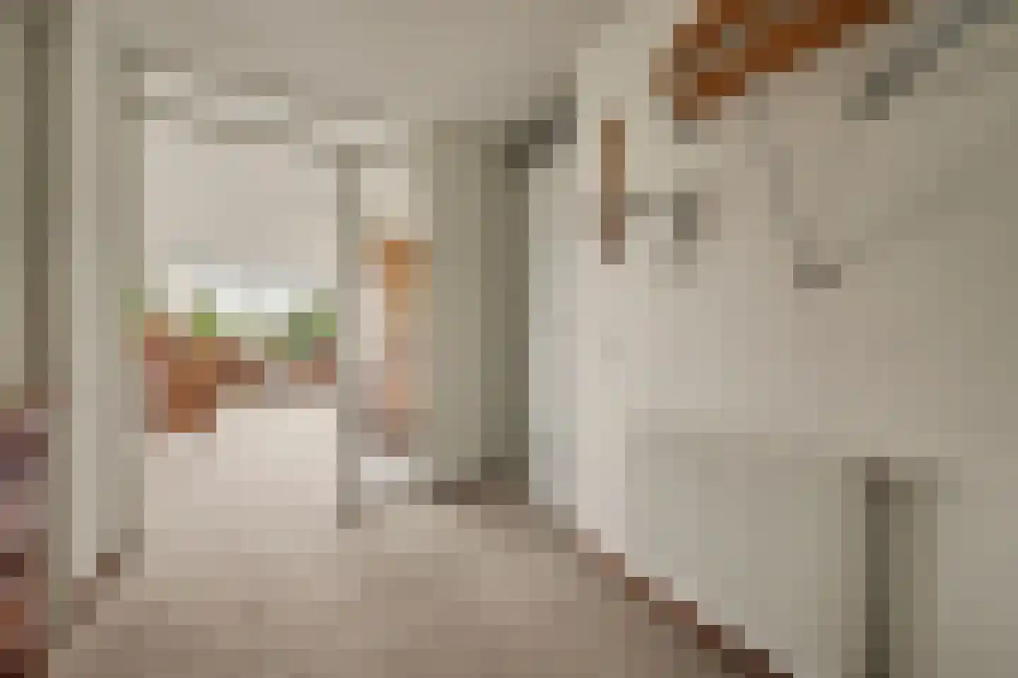 Bieningen 19 Brielle thumbnail 8