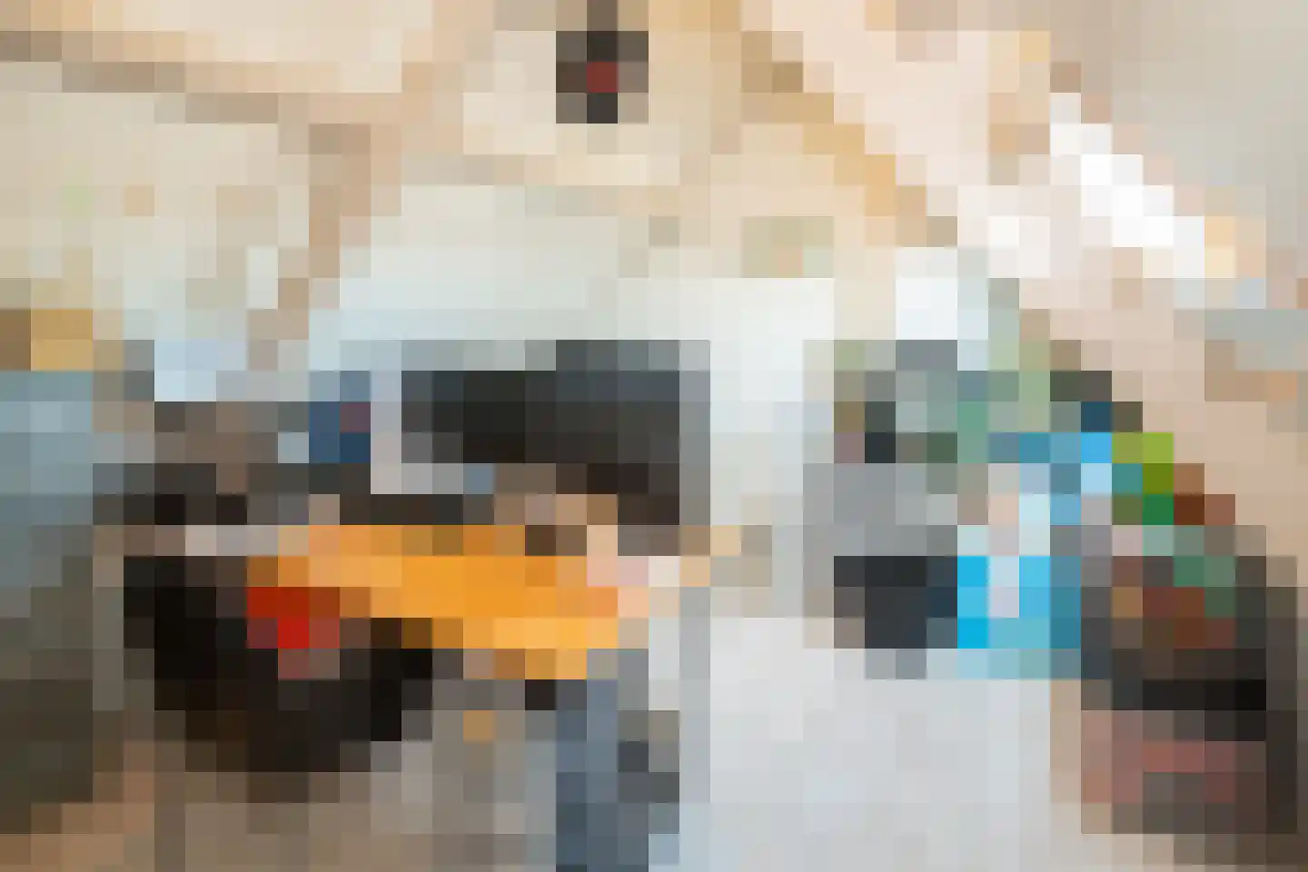 Bieningen 19 Ouddorp thumbnail 29