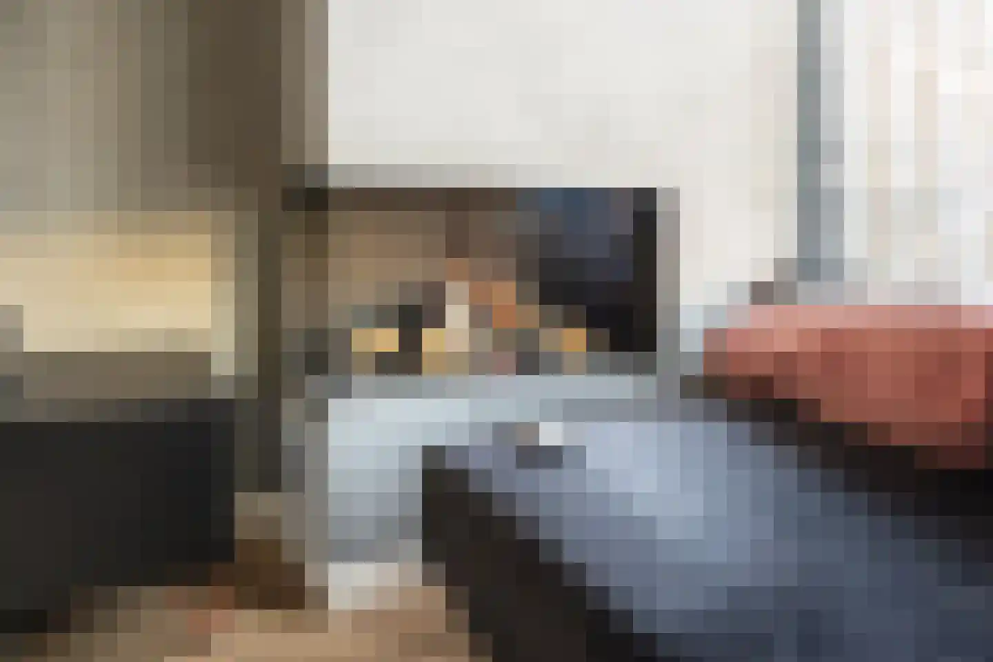 Bieningen 19 Ouddorp thumbnail 9