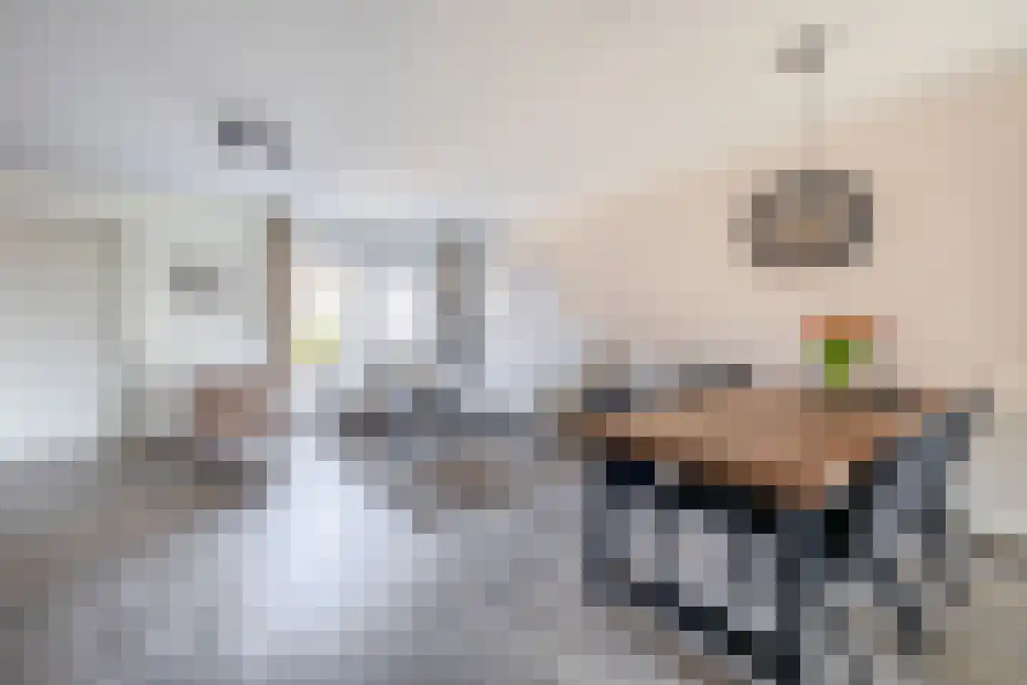 Bieningen 43 Ouddorp thumbnail 10