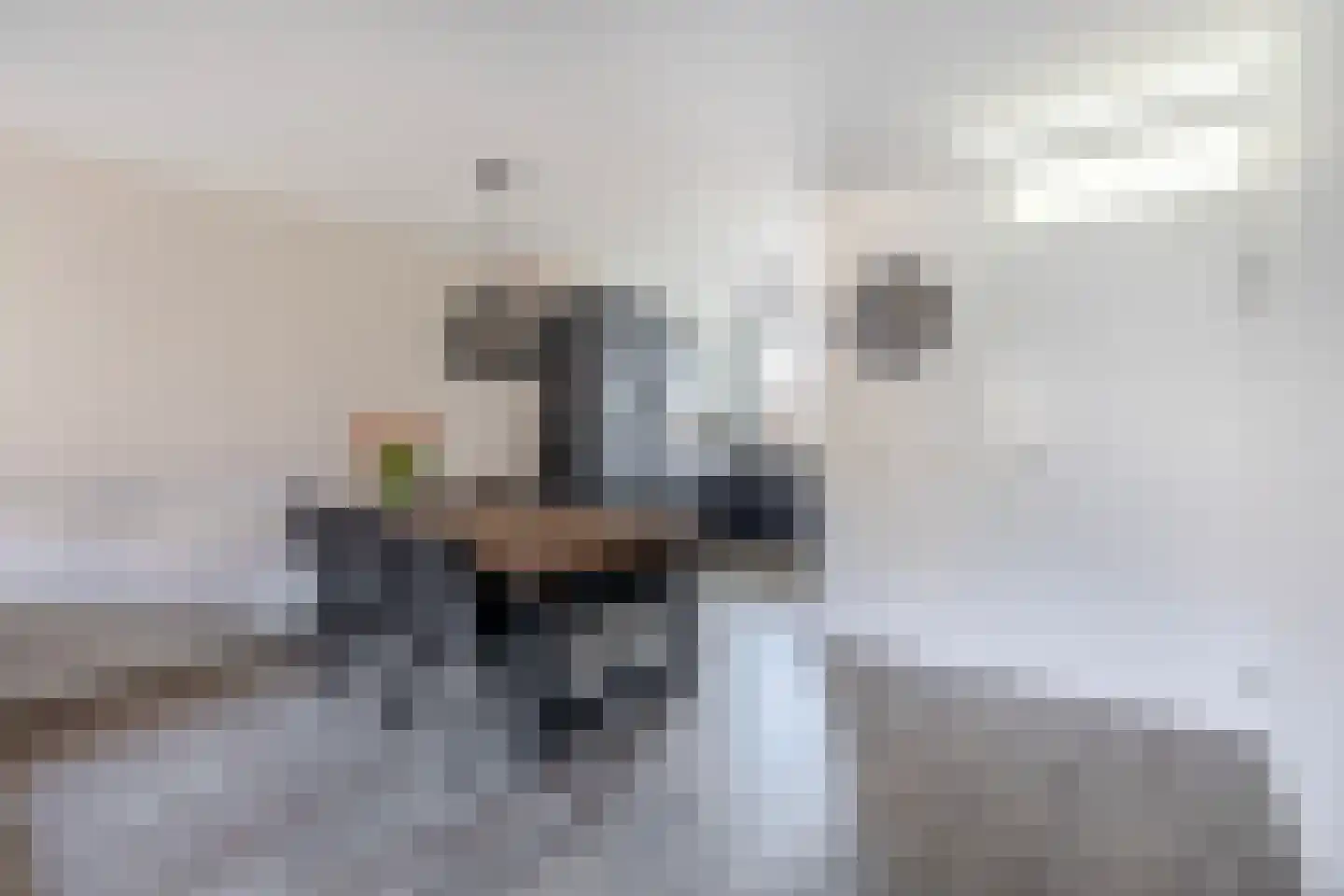 Bieningen 43 Ouddorp thumbnail 11