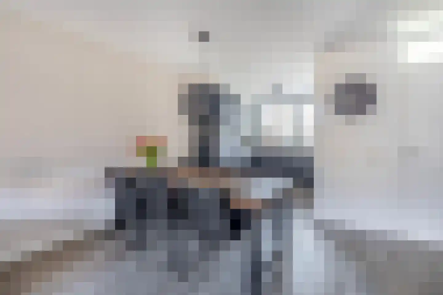Bieningen 43 Ouddorp thumbnail 12