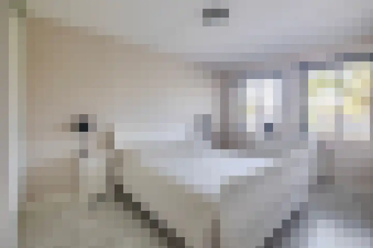 Bieningen 43 Ouddorp thumbnail 18