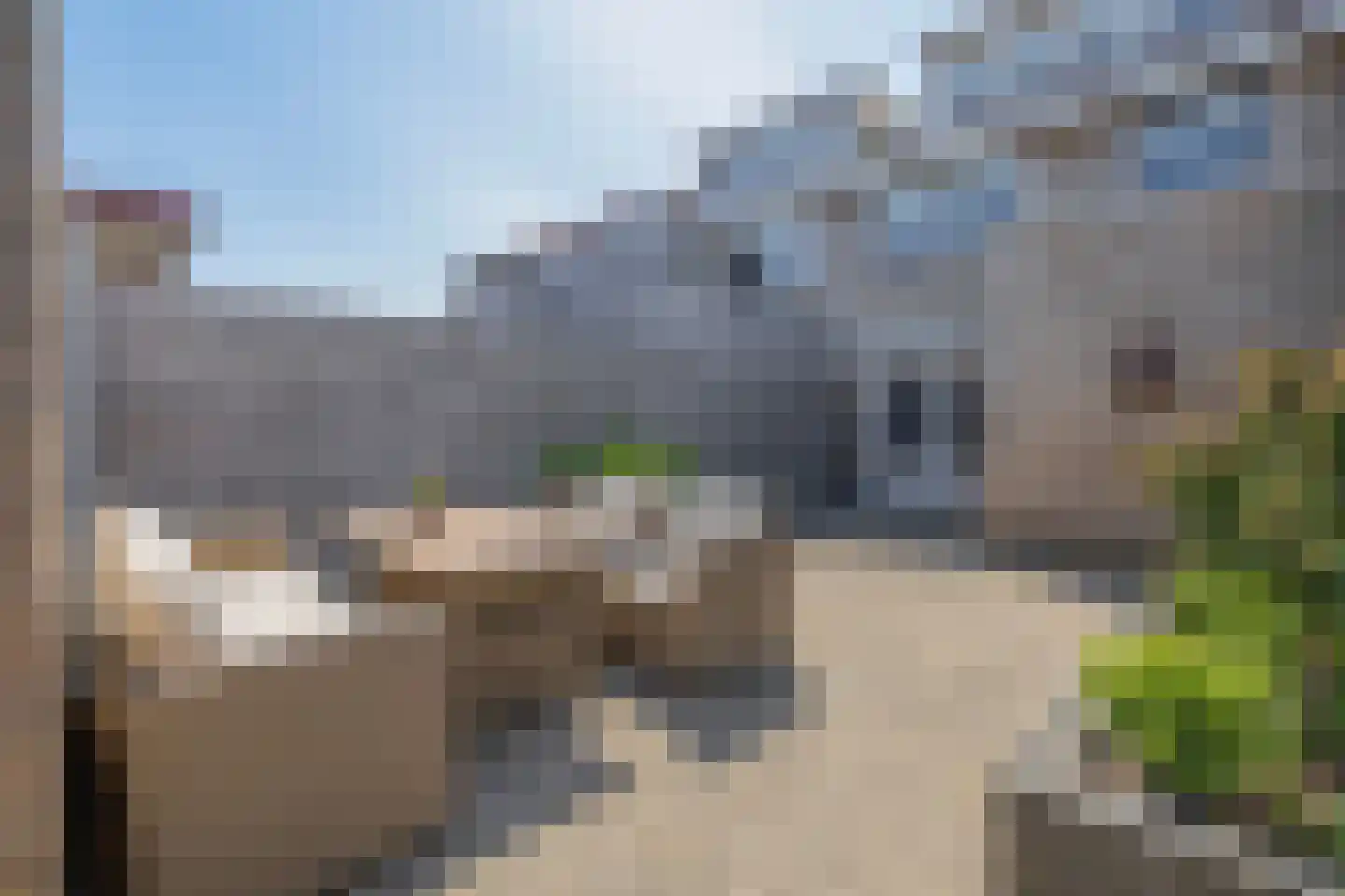 Bieningen 43 Ouddorp thumbnail 30