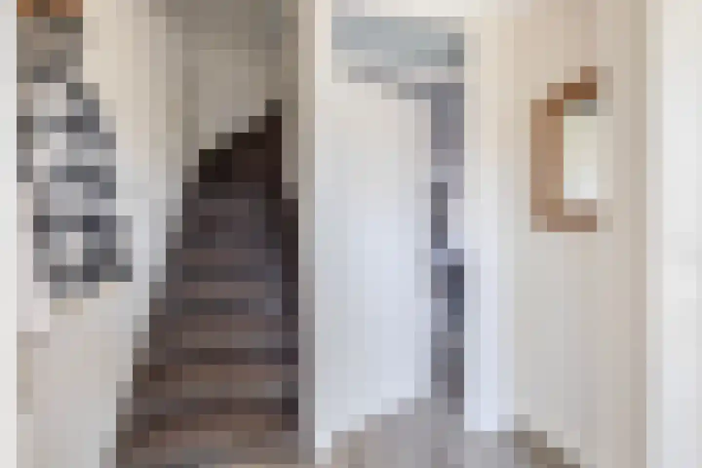 Bieningen 43 Ouddorp thumbnail 5