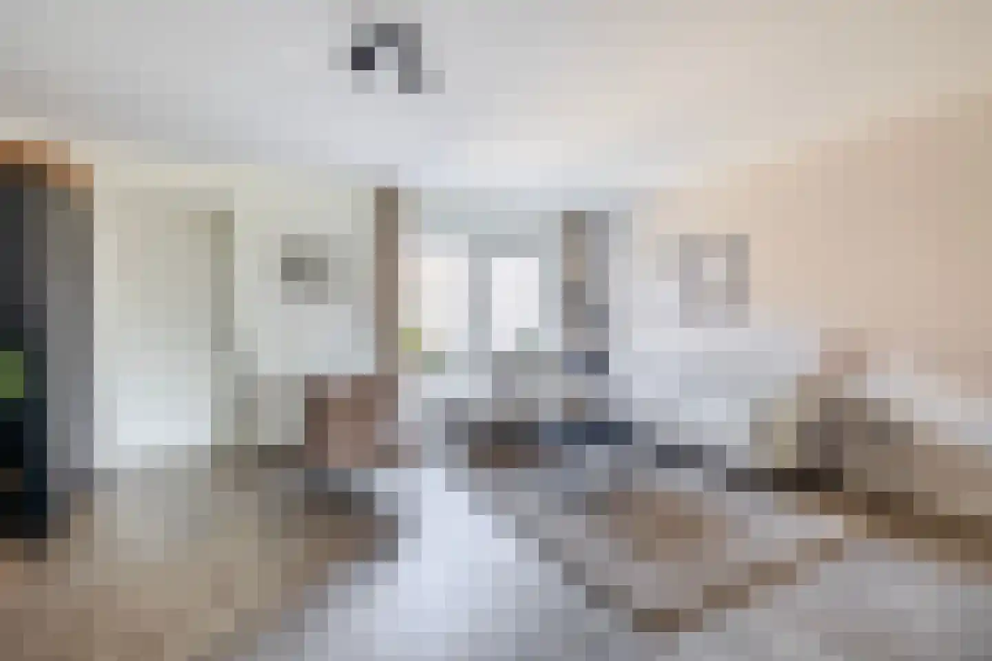Bieningen 43 Ouddorp thumbnail 7