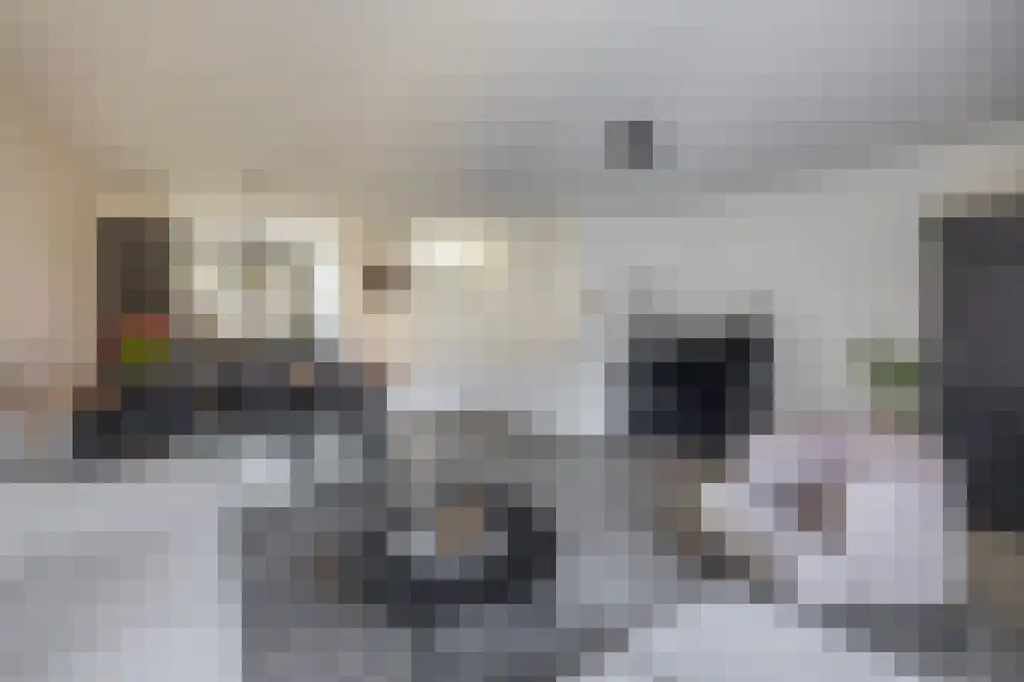 Bieningen 43 Ouddorp thumbnail 9