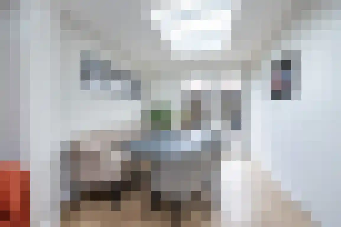 Bieningen 45 Ouddorp thumbnail 12