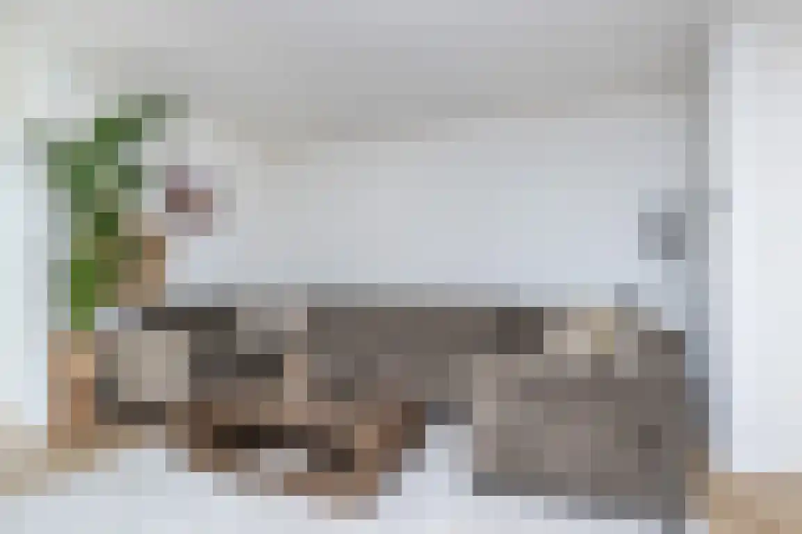 Bieningen 45 Ouddorp thumbnail 14