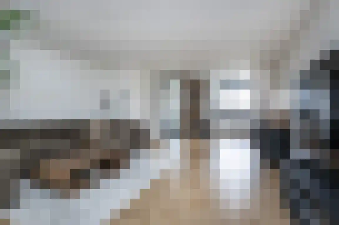 Bieningen 45 Ouddorp thumbnail 16