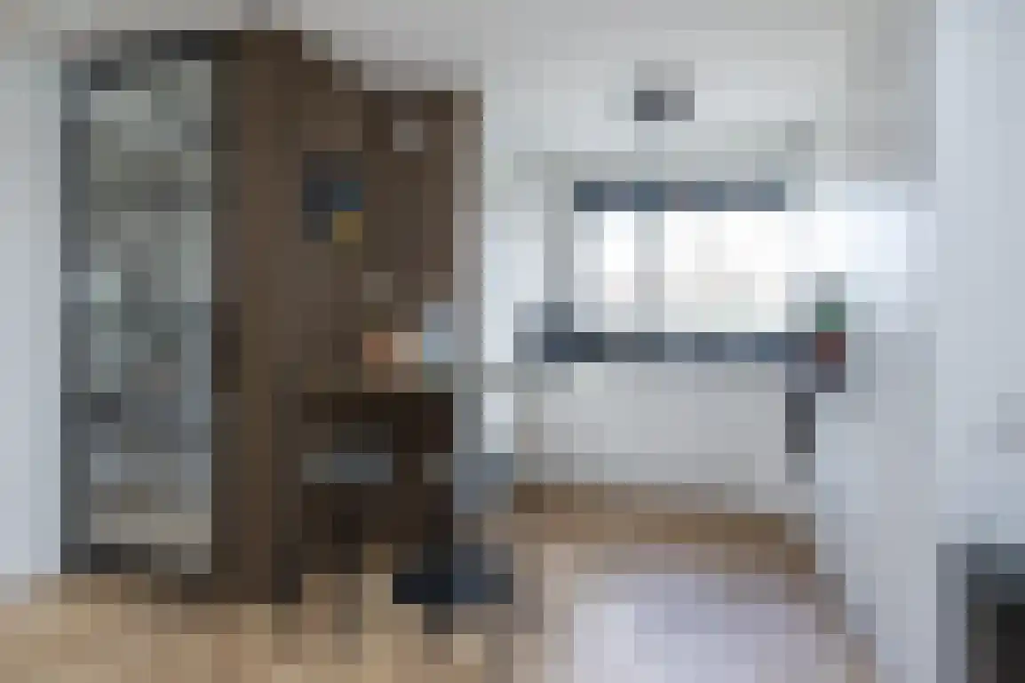 Bieningen 45 Ouddorp thumbnail 17
