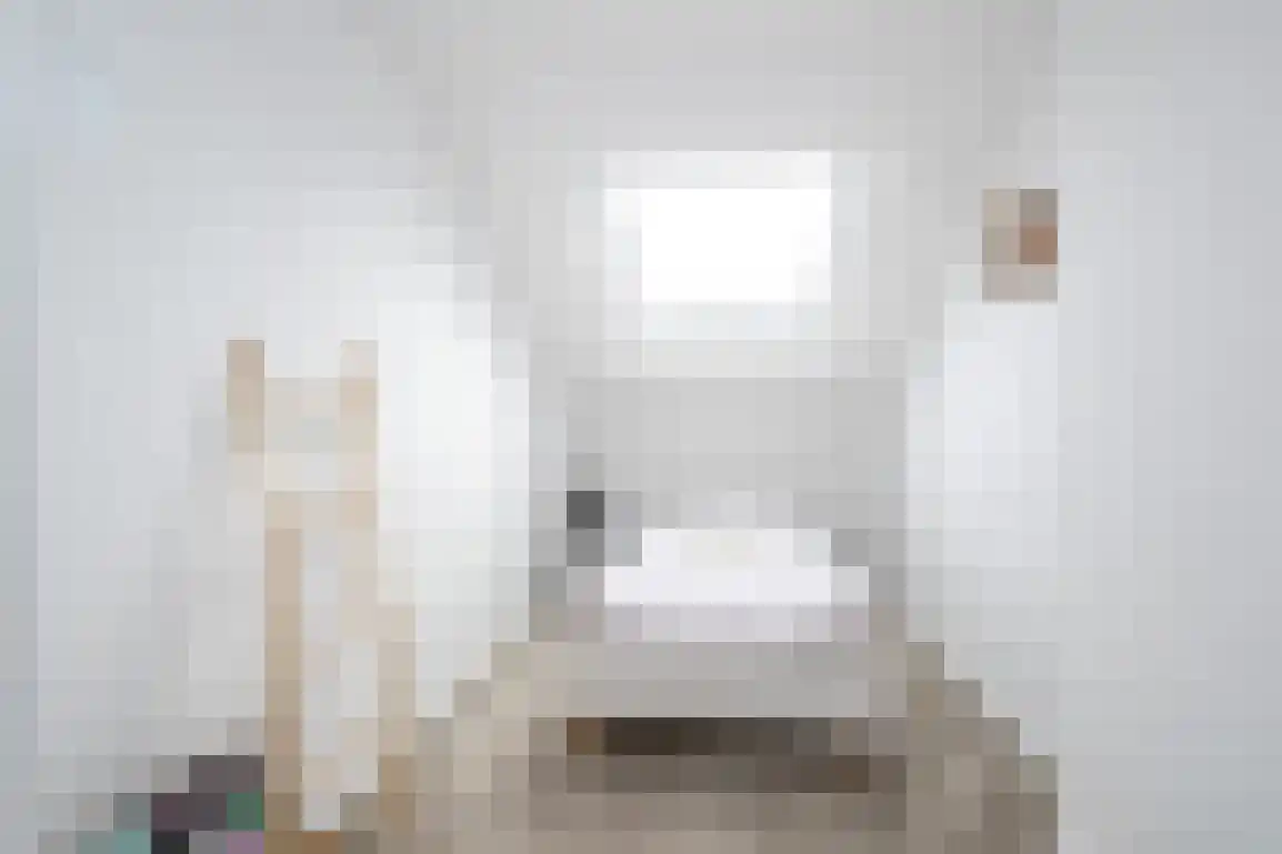 Bieningen 45 Ouddorp thumbnail 27