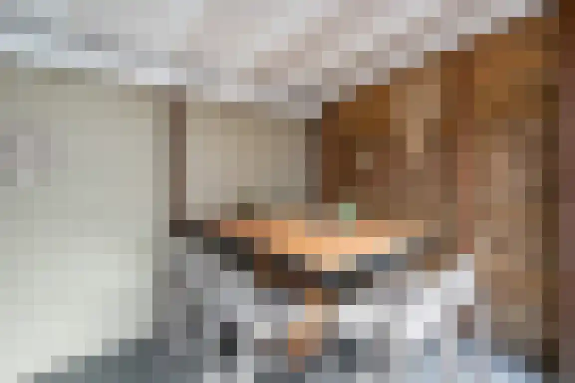 Bieningen 45 Ouddorp thumbnail 33