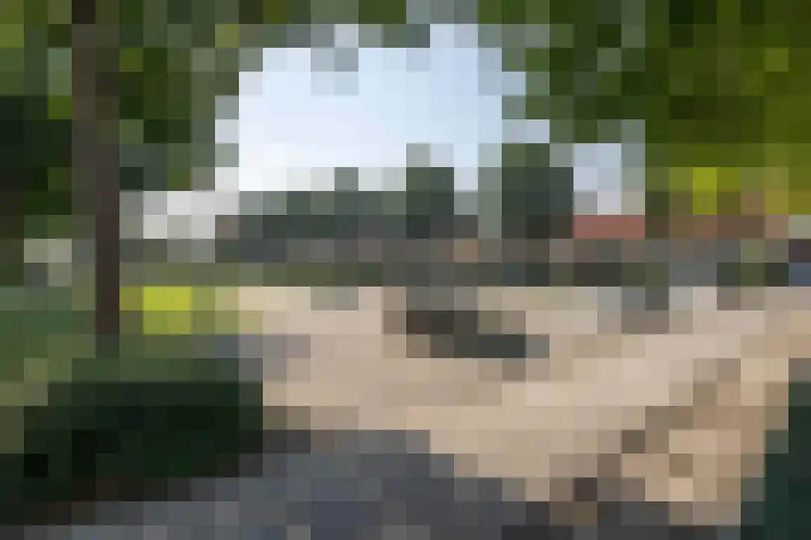 Bieningen 45 Ouddorp thumbnail 37