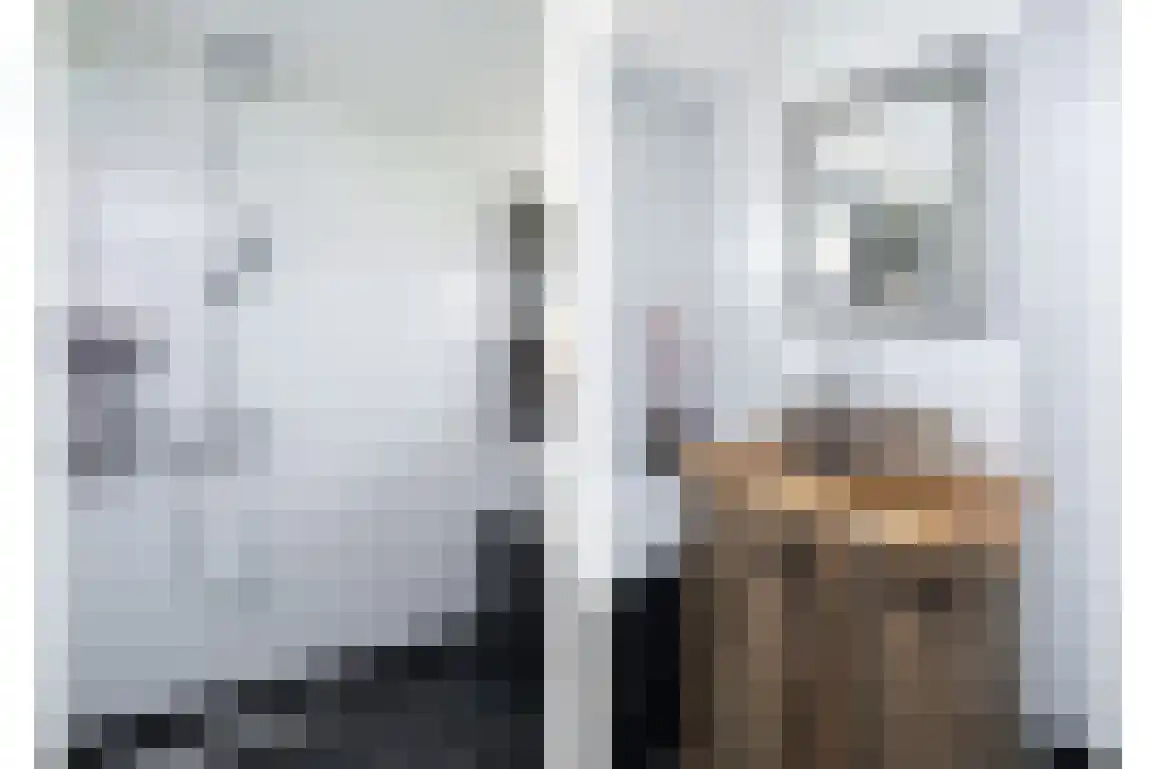Bieningen 45 Ouddorp thumbnail 4