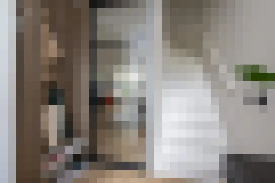Bieningen 45 Ouddorp thumbnail 7