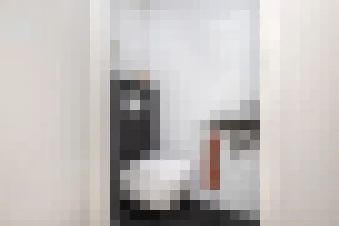 Bieningen 45 Ouddorp thumbnail 8