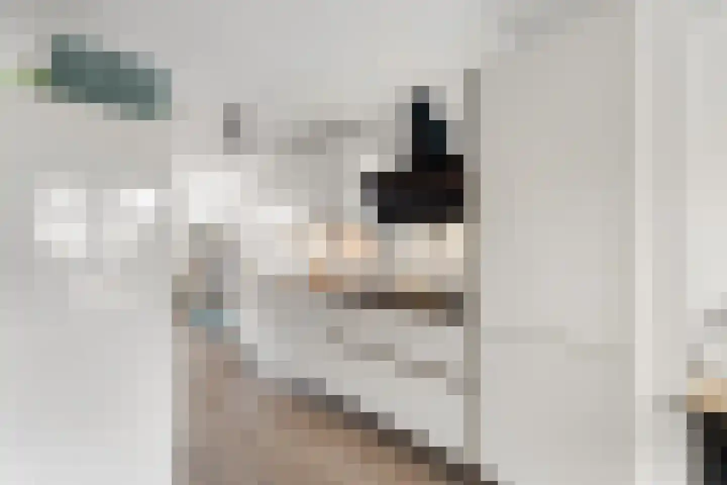 Bierbrouwersgroes 44 Gennep thumbnail 11