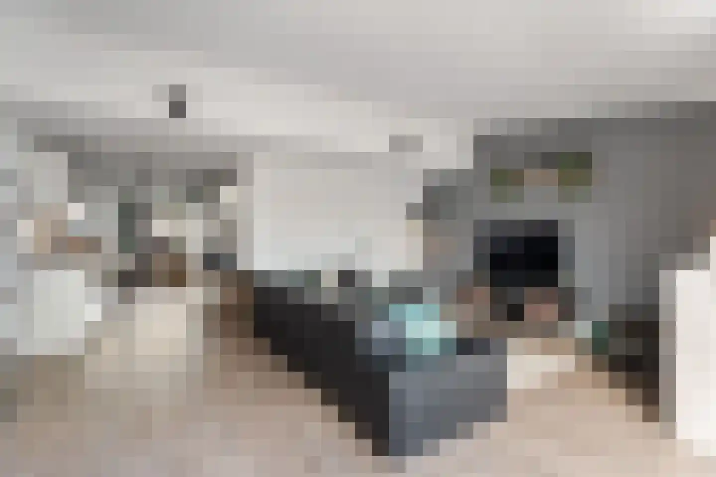 Bierbrouwersgroes 44 Gennep thumbnail 13