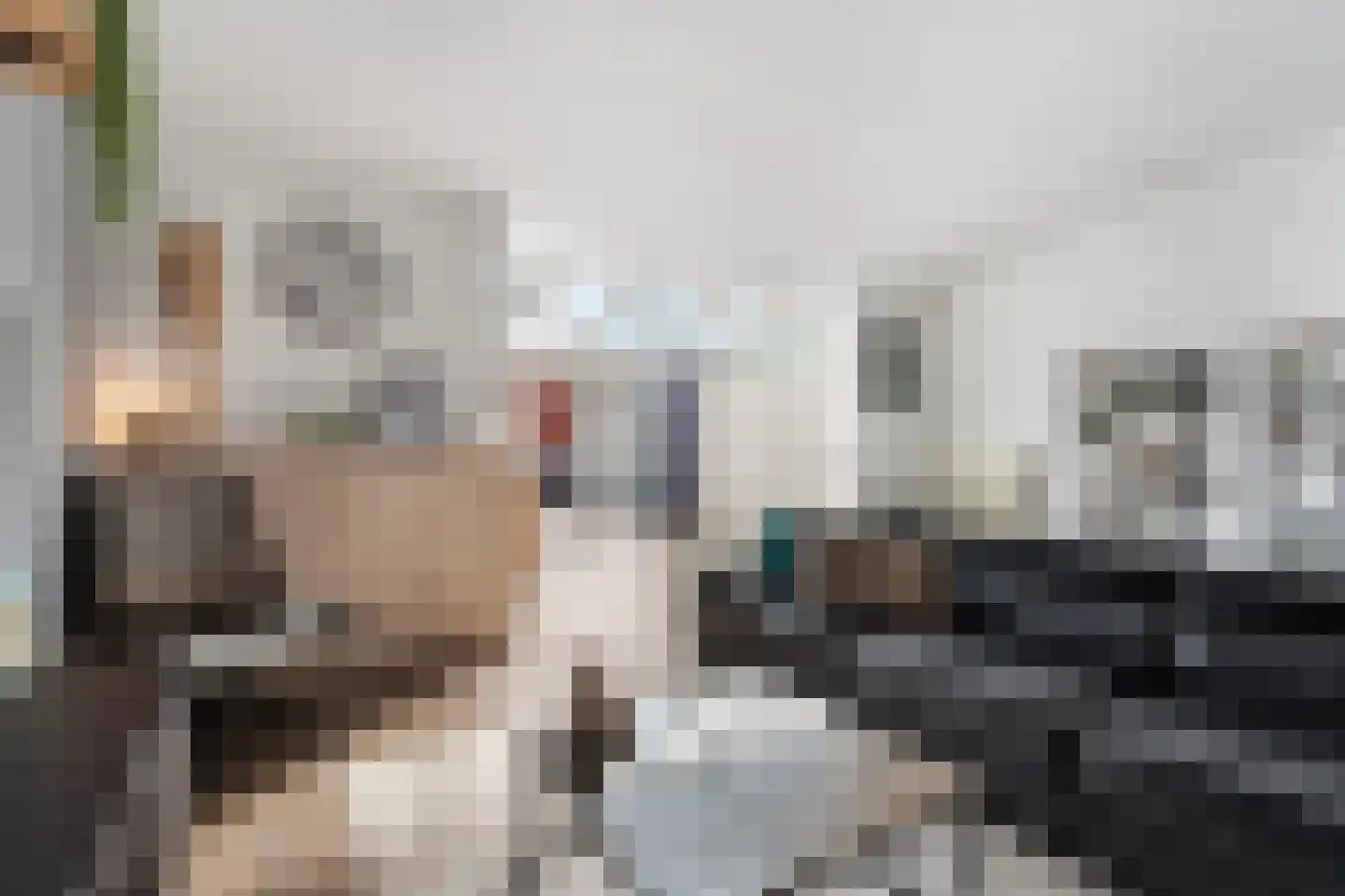 Bierbrouwersgroes 44 Gennep thumbnail 14