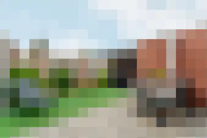 Bierbrouwersgroes 44 Gennep thumbnail 24