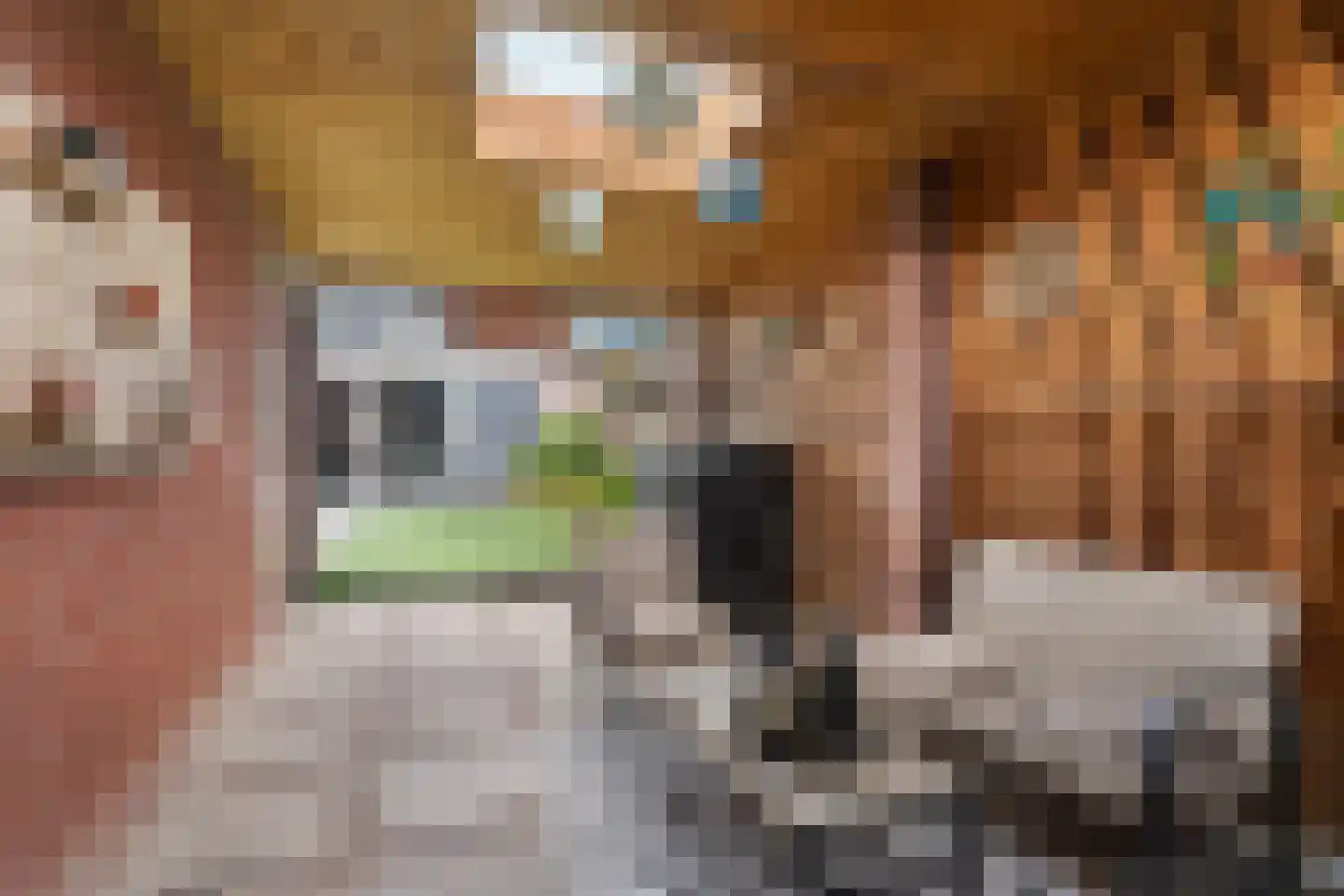 Bierbrouwersgroes 44 Gennep thumbnail 25