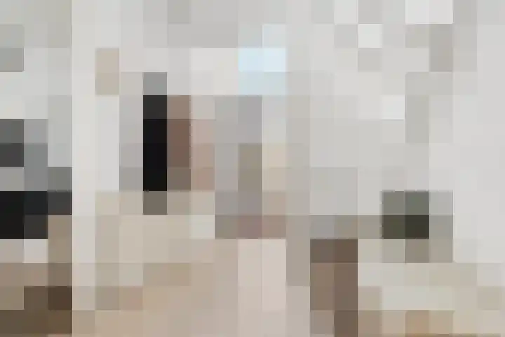 Bierbrouwersgroes 44 Gennep thumbnail 6