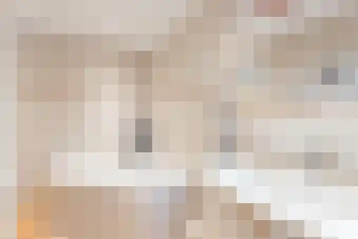 Bierbrouwersgroes 44 Gennep thumbnail 8