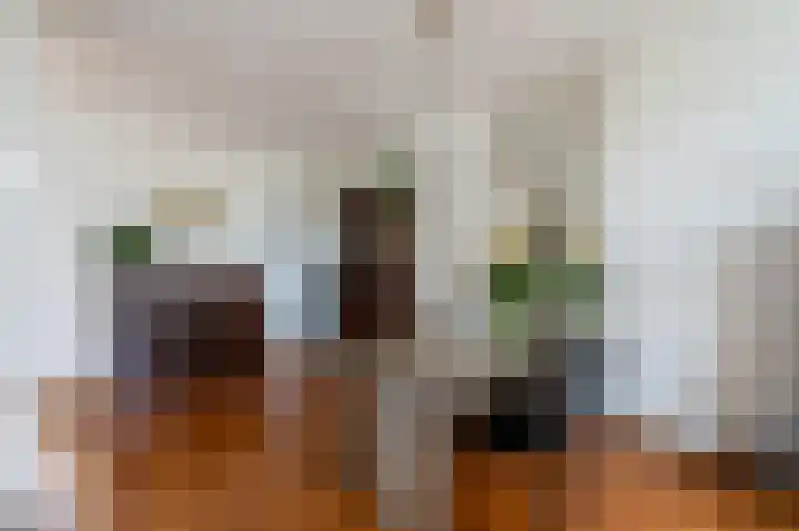 Bierbrouwershorst 312 Apeldoorn thumbnail 10
