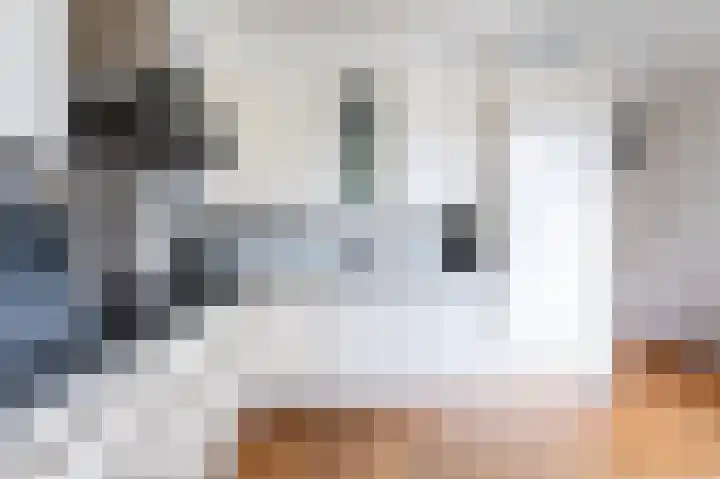 Bierbrouwershorst 312 Apeldoorn thumbnail 14