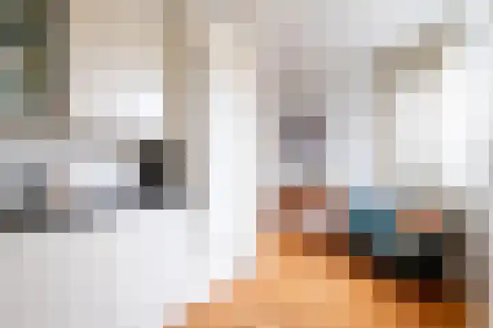 Bierbrouwershorst 312 Apeldoorn thumbnail 15