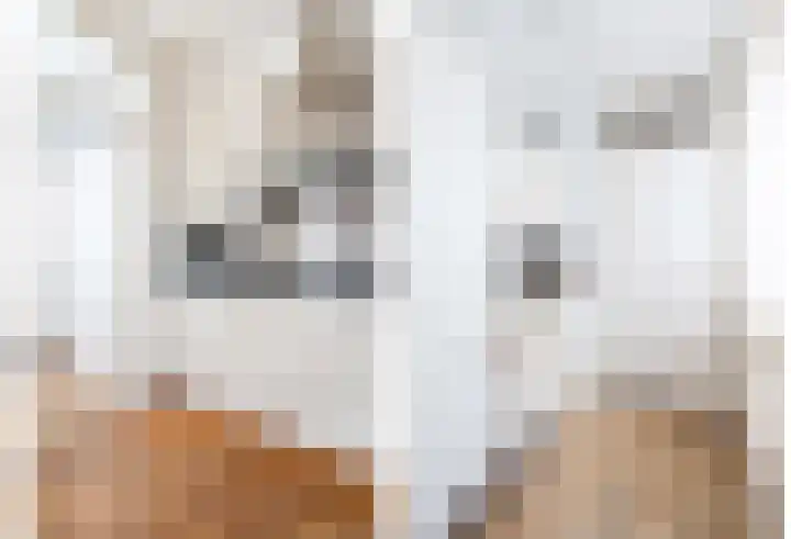 Bierbrouwershorst 312 Apeldoorn thumbnail 16