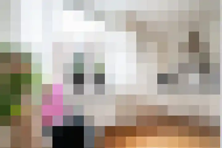 Bierbrouwershorst 312 Apeldoorn thumbnail 18