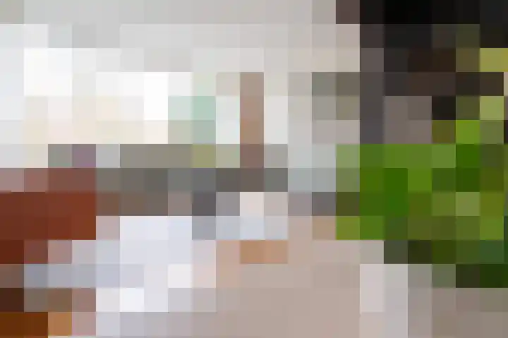 Bierbrouwershorst 312 Apeldoorn thumbnail 19