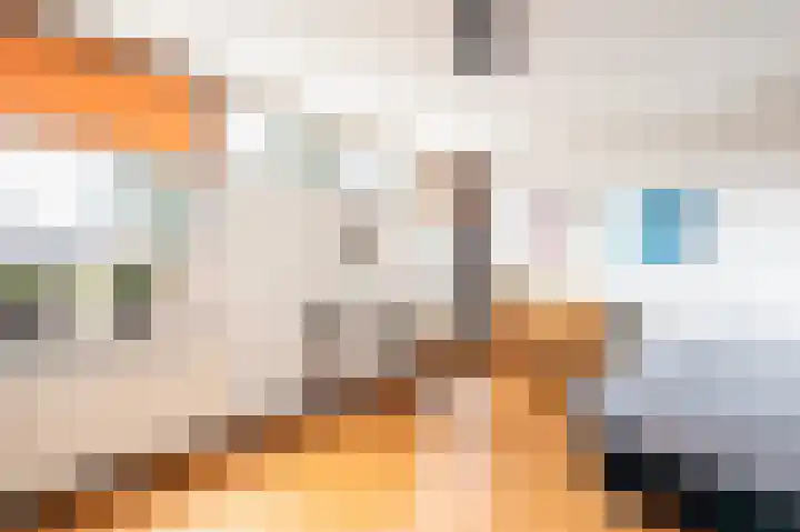 Bierbrouwershorst 312 Apeldoorn thumbnail 22