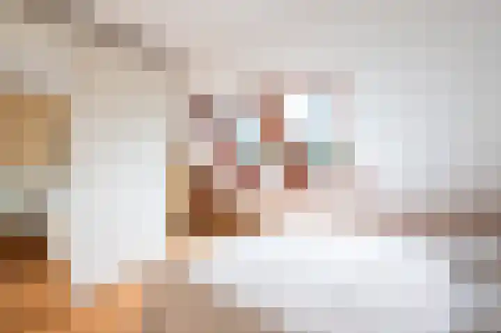 Bierbrouwershorst 312 Apeldoorn thumbnail 25