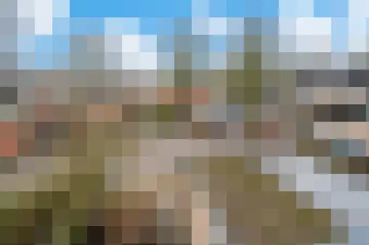 Bierbrouwershorst 312 Apeldoorn thumbnail 31