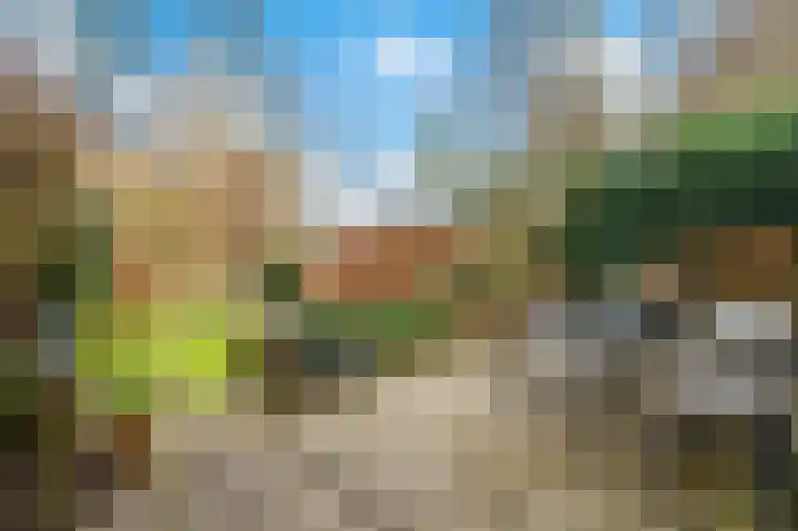 Bierbrouwershorst 312 Apeldoorn thumbnail 32
