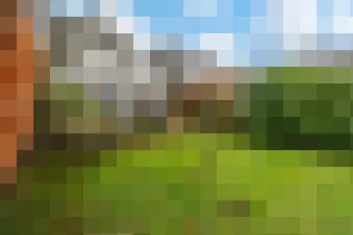 Bierbrouwershorst 312 Apeldoorn thumbnail 33