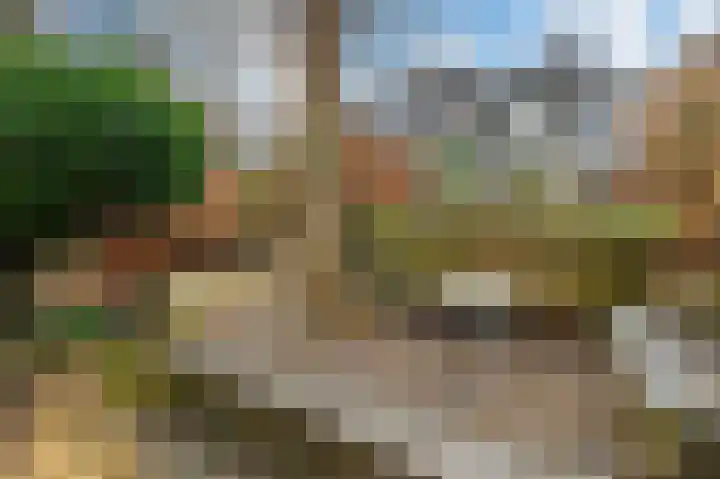 Bierbrouwershorst 312 Apeldoorn thumbnail 34