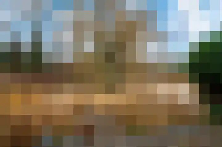 Bierbrouwershorst 312 Apeldoorn thumbnail 35