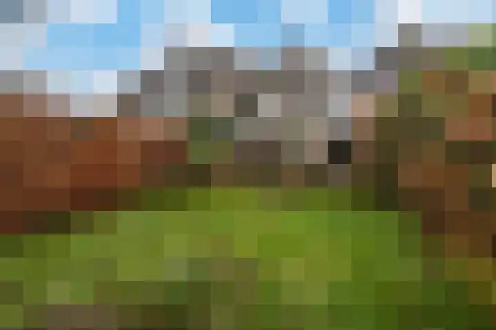 Bierbrouwershorst 312 Apeldoorn thumbnail 36