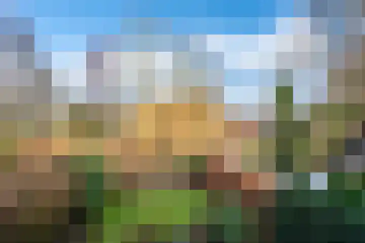 Bierbrouwershorst 312 Apeldoorn thumbnail 38